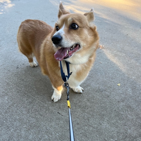 Meet your Posher, Sarah - Picture 1 of 6